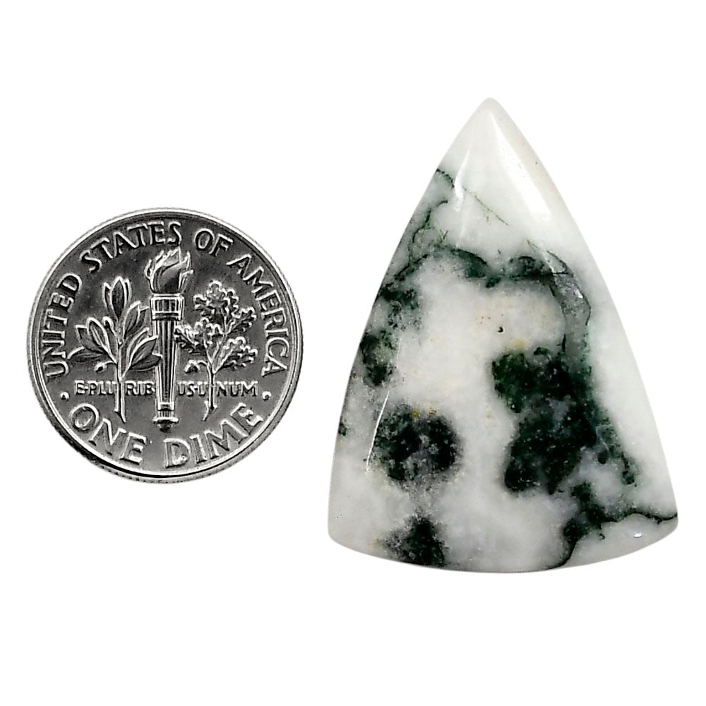 Tree Weed Moss Agate 22.65x30.6x4.5 mm Fancy Shape Polished Gemstone LS84-05111