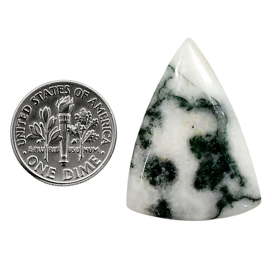Tree Weed Moss Agate 22.65x30.6x4.5 mm Fancy Shape Polished Gemstone LS84-05111