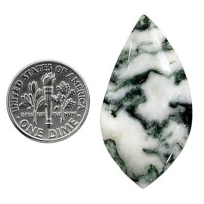 Tree Weed Moss Agate 19.7x37.4x5 mm Fancy Shape Polished Gemstone LS84-05112