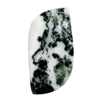 Tree Weed Moss Agate 19.3x39x5 mm Fancy Shape Polished Gemstone LS84-05114