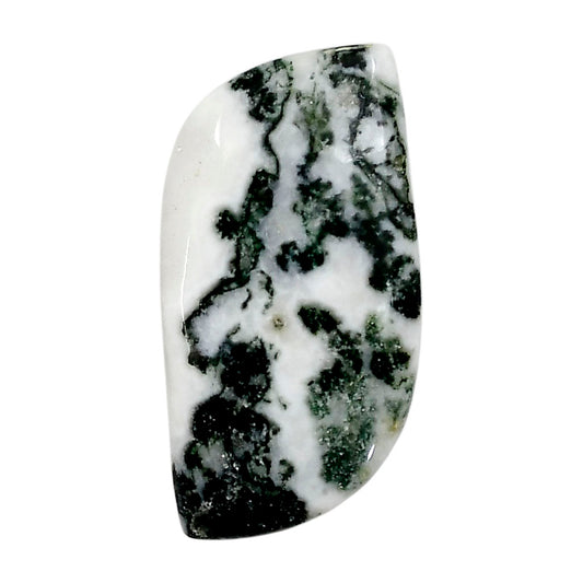 Tree Weed Moss Agate 19.3x39x5 mm Fancy Shape Polished Gemstone LS84-05114