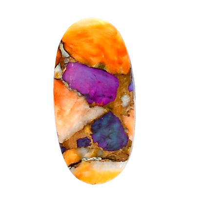 Spiny Oyster Turquoise 12.1x24.7x3.5 mm Oval Shape Polished Gemstone LS87-05365