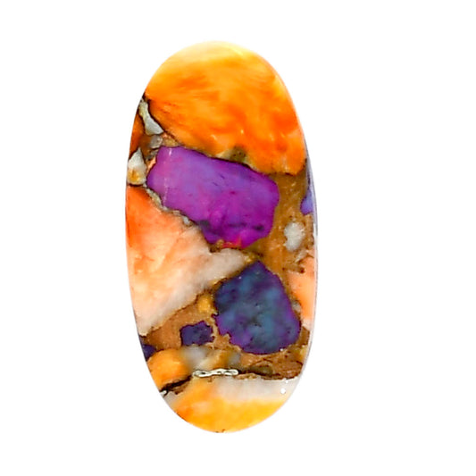 Spiny Oyster Turquoise 12.1x24.7x3.5 mm Oval Shape Polished Gemstone LS87-05365