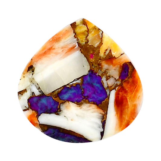 Spiny Oyster Turquoise 24.4x24.65x3 mm Heart Shape Polished Gemstone LS87-05388
