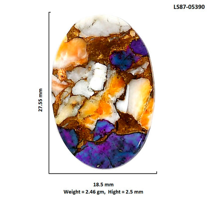 Spiny Oyster Turquoise 18.5x27.55x2.5 mm Oval Shape Polished Gemstone LS87-05390