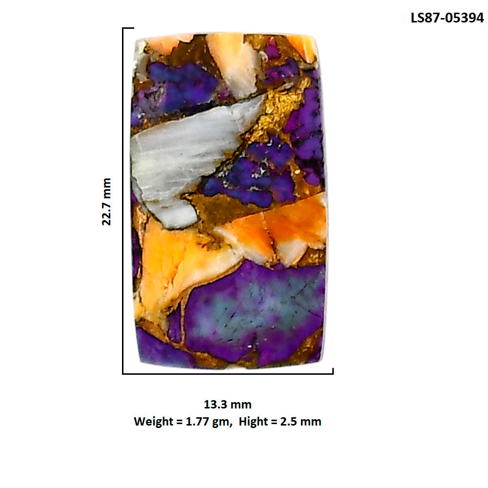 Spiny Oyster Turquoise 13.3x22.7x2.5 mm Baguette Shape Polished Gemstone LS87-05394