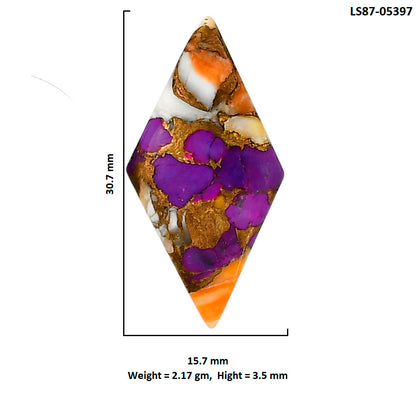 Spiny Oyster Turquoise 15.7x30.7x3.5 mm Fancy Shape Polished Gemstone LS87-05397