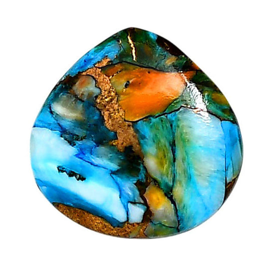 Spiny Oyster Turquoise 22.3x22.1x4.8 mm Fancy Shape Polished Gemstone LS87-06264
