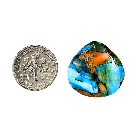 Spiny Oyster Turquoise 22.3x22.1x4.8 mm Fancy Shape Polished Gemstone LS87-06264