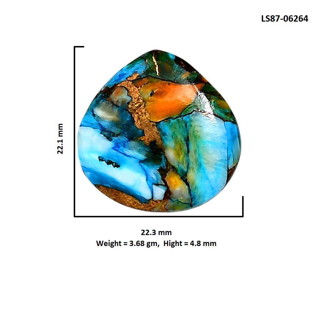 Spiny Oyster Turquoise 22.3x22.1x4.8 mm Fancy Shape Polished Gemstone LS87-06264