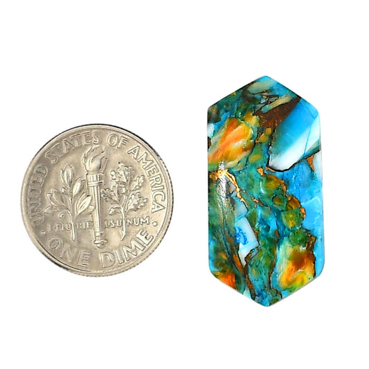 Spiny Oyster Turquoise 13.5x26.9x3 mm Fancy Shape Polished Gemstone LS87-06265