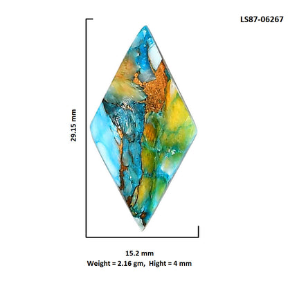 Spiny Oyster Turquoise 15.2x29.15x4 mm Fancy Shape Polished Gemstone LS87-06267