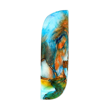 Spiny Oyster Turquoise 11.3x38x3 mm Fancy Shape Polished Gemstone LS87-06268