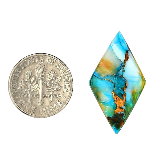 Spiny Oyster Turquoise 15.8x28.25x3.5 mm Fancy Shape Polished Gemstone LS87-06270