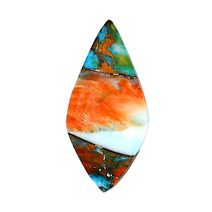 Spiny Oyster Turquoise 13.1x27.2x3.4 mm Fancy Shape Polished Gemstone LS87-06276