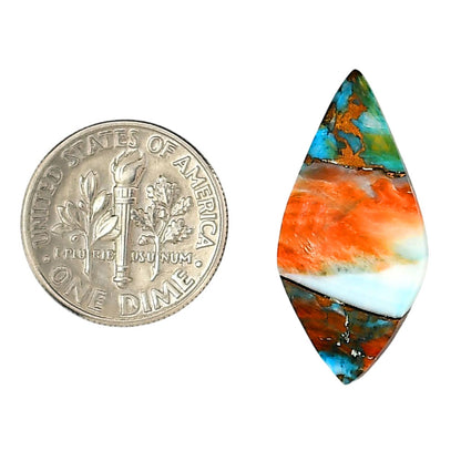 Spiny Oyster Turquoise 13.1x27.2x3.4 mm Fancy Shape Polished Gemstone LS87-06276
