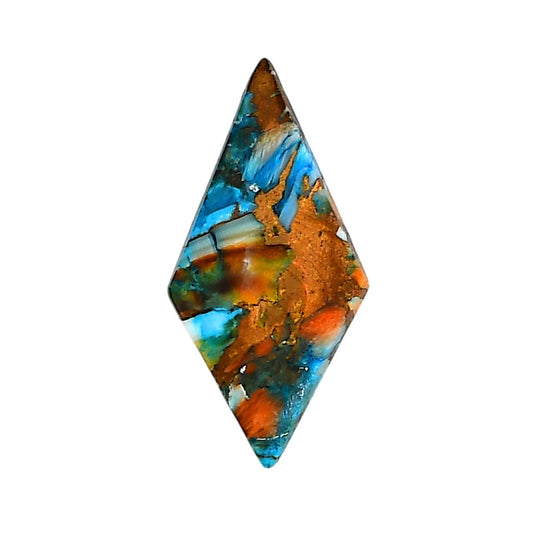 Spiny Oyster Turquoise 15.5x31.5x3.5 mm Fancy Shape Polished Gemstone LS87-06280