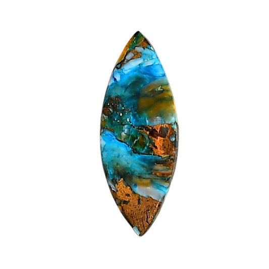 Spiny Oyster Turquoise 10.6x27.8x3.5 mm Marquise Shape Polished Gemstone LS87-06281