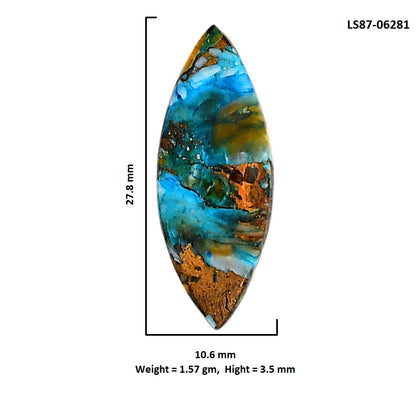 Spiny Oyster Turquoise 10.6x27.8x3.5 mm Marquise Shape Polished Gemstone LS87-06281