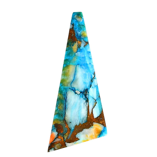 Spiny Oyster Turquoise 16x41x3 mm Fancy Shape Polished Gemstone LS87-06282