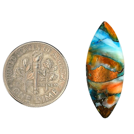 Spiny Oyster Turquoise 10.4x24x3.5 mm Marquise Shape Polished Gemstone LS87-06283