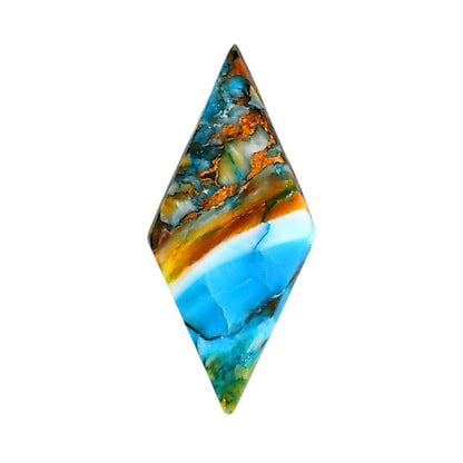 Spiny Oyster Turquoise 14x30.3x3.7 mm Fancy Shape Polished Gemstone LS87-06284