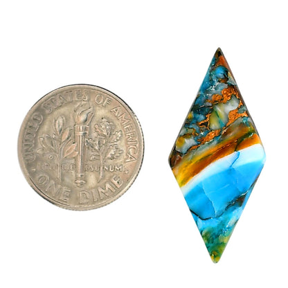 Spiny Oyster Turquoise 14x30.3x3.7 mm Fancy Shape Polished Gemstone LS87-06284