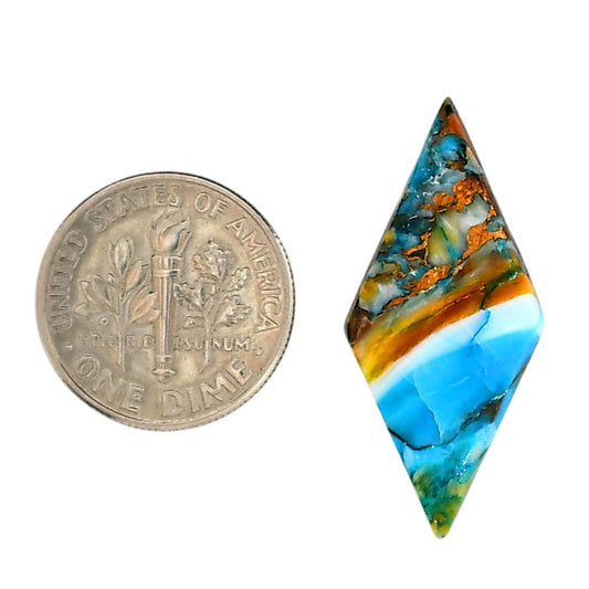 Spiny Oyster Turquoise 14x30.3x3.7 mm Fancy Shape Polished Gemstone LS87-06284