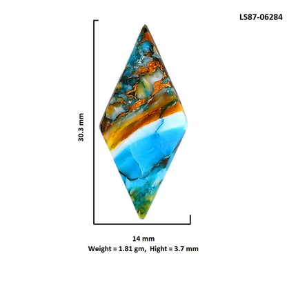 Spiny Oyster Turquoise 14x30.3x3.7 mm Fancy Shape Polished Gemstone LS87-06284