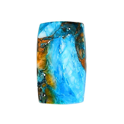 Spiny Oyster Turquoise 12.3x20.5x4 mm Cushion Shape Polished Gemstone LS87-06285