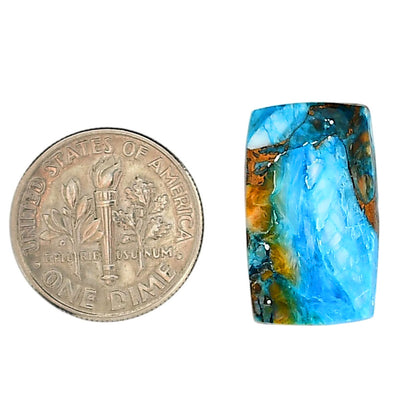 Spiny Oyster Turquoise 12.3x20.5x4 mm Cushion Shape Polished Gemstone LS87-06285