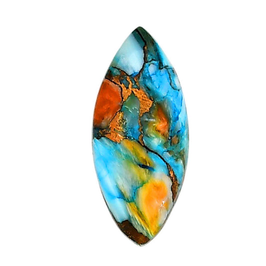 Spiny Oyster Turquoise 11.5x26x4.3 mm Marquise Shape Polished Gemstone LS87-06286