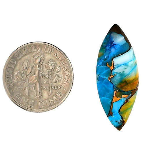Spiny Oyster Turquoise 10.5x27x3.4 mm Marquise Shape Polished Gemstone LS87-06287