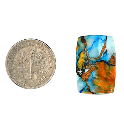 Spiny Oyster Turquoise 14x21x3 mm Cushion Shape Polished Gemstone LS87-06288