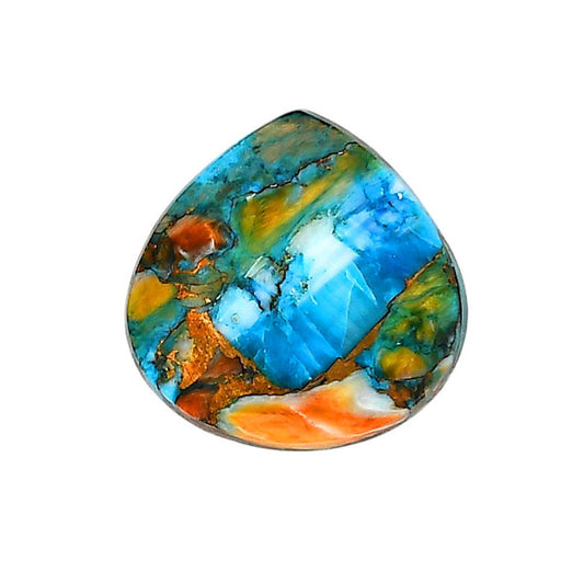 Spiny Oyster Turquoise 23.3x23.4x3.8 mm Heart Shape Polished Gemstone LS87-06290