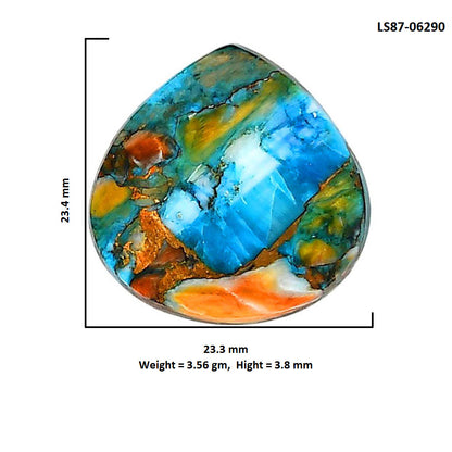 Spiny Oyster Turquoise 23.3x23.4x3.8 mm Heart Shape Polished Gemstone LS87-06290