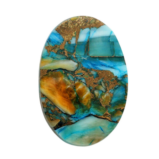 Spiny Oyster Turquoise 17.5x25.65x5 mm Oval Shape Polished Gemstone LS87-06769