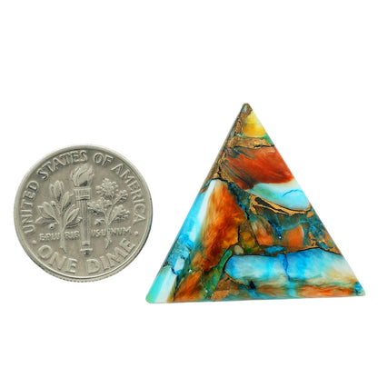 Spiny Oyster Turquoise 24.5x25.5x4.5 mm Fancy Shape Polished Gemstone LS87-06780