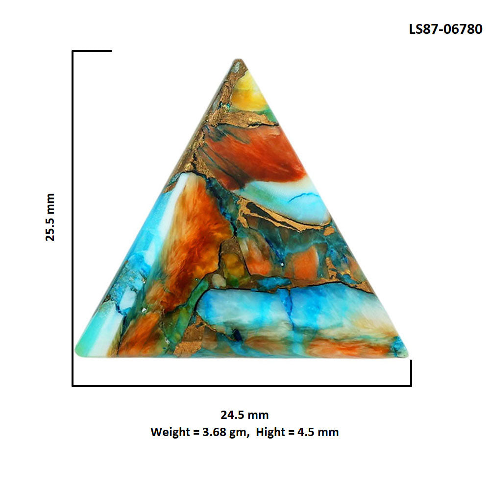Spiny Oyster Turquoise 24.5x25.5x4.5 mm Fancy Shape Polished Gemstone LS87-06780