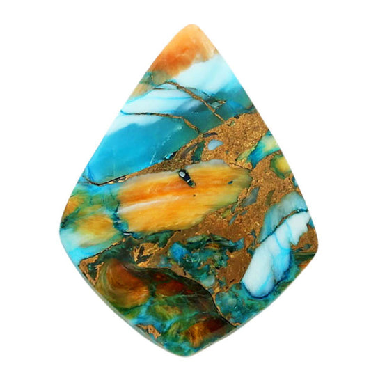 Spiny Oyster Turquoise 19.5x25.2x4.2 mm Fancy Shape Polished Gemstone LS87-06782