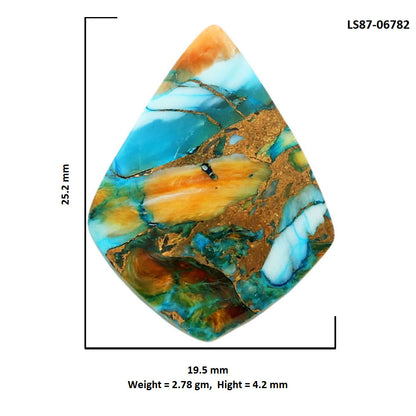Spiny Oyster Turquoise 19.5x25.2x4.2 mm Fancy Shape Polished Gemstone LS87-06782