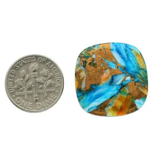 Spiny Oyster Turquoise 22.3x22.3x5.5 mm Cushion Shape Polished Gemstone LS87-06783