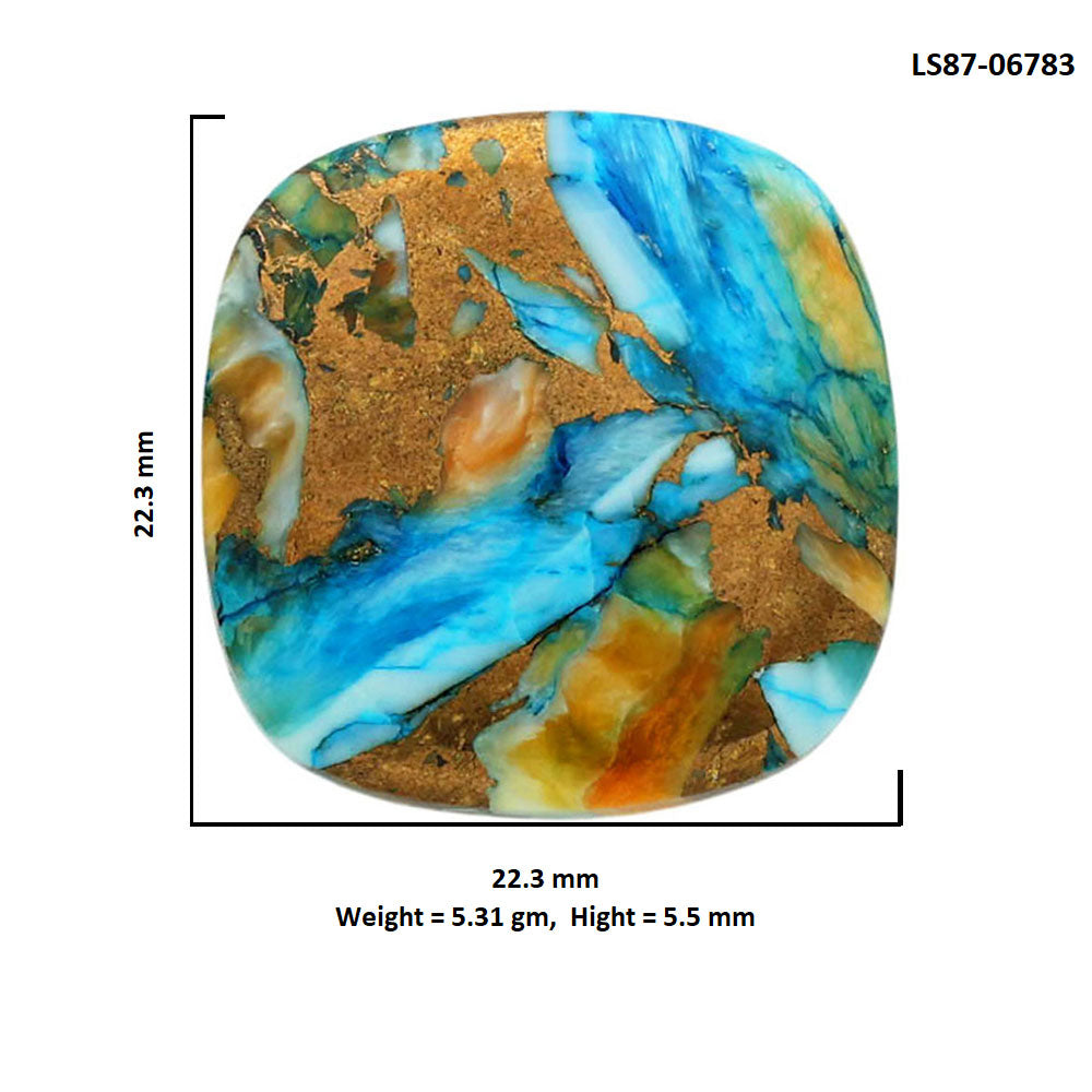 Spiny Oyster Turquoise 22.3x22.3x5.5 mm Cushion Shape Polished Gemstone LS87-06783