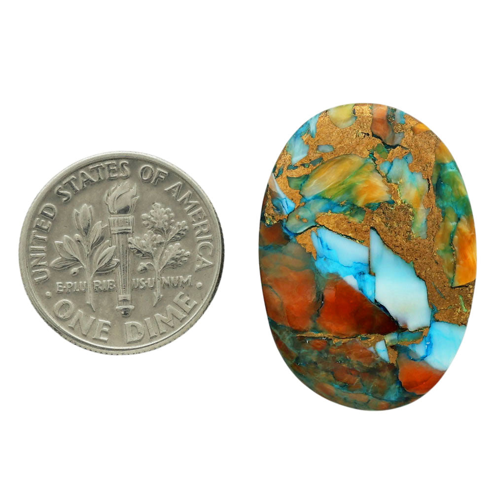 Spiny Oyster Turquoise 19.15x27x5 mm Oval Shape Polished Gemstone LS87-06784