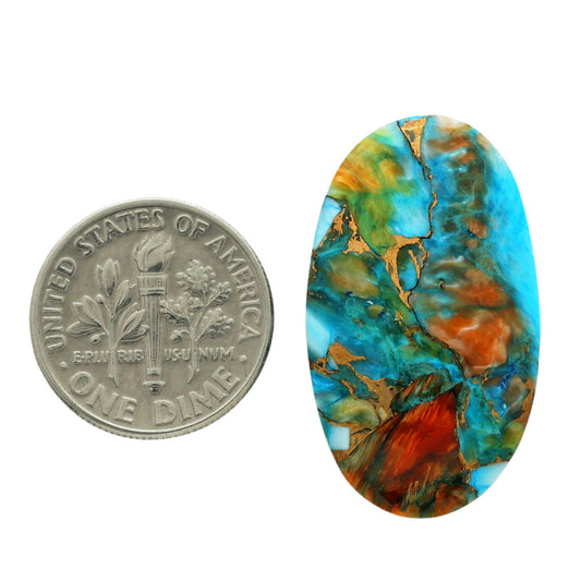 Spiny Oyster Turquoise 17.4x29.6x4.8 mm Oval Shape Polished Gemstone LS87-06786