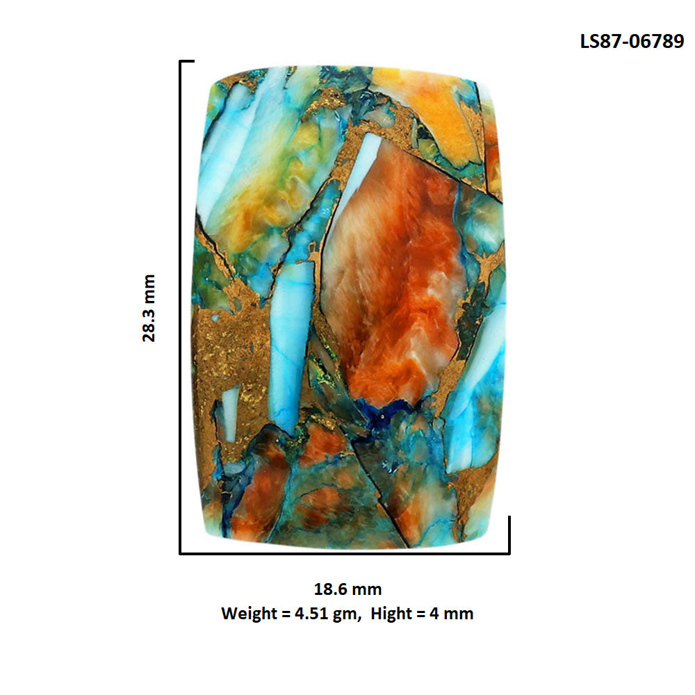 Spiny Oyster Turquoise 18.6x28.3x4 mm Baguette Shape Polished Gemstone LS87-06789