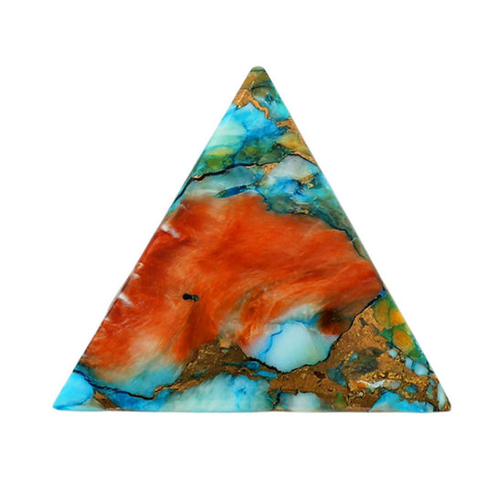 Spiny Oyster Turquoise 25x25.4x4.3 mm Fancy Shape Polished Gemstone LS87-06790