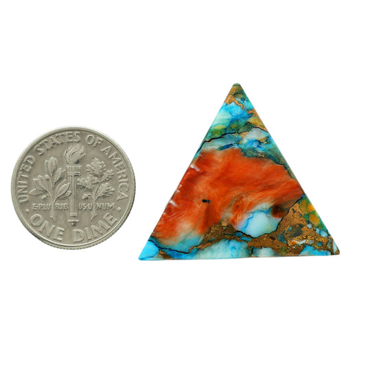 Spiny Oyster Turquoise 25x25.4x4.3 mm Fancy Shape Polished Gemstone LS87-06790