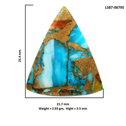 Spiny Oyster Turquoise 21.7x25.4x3.5 mm Fancy Shape Polished Gemstone LS87-06795