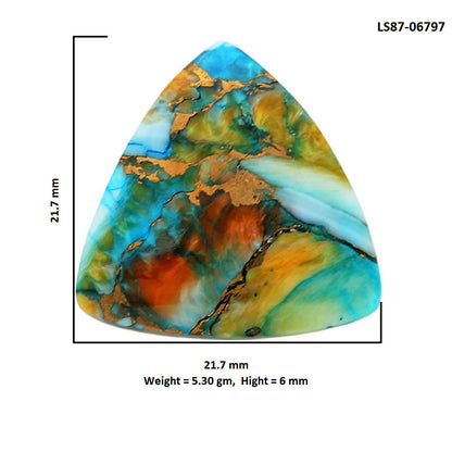 Spiny Oyster Turquoise 21.7x21.7x6 mm Fancy Shape Polished Gemstone LS87-06797